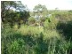 Lot 57 Woodrow Drive, Agnes Water QLD 4677