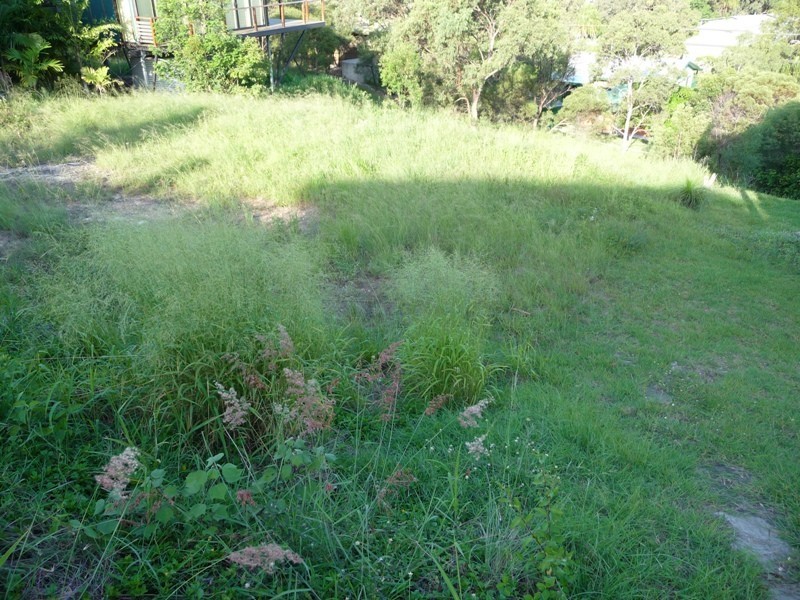 Lot 57 Woodrow Drive, Agnes Water QLD 4677