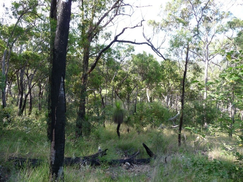 Lot 147 Josefski Drive, Agnes Water QLD 4677