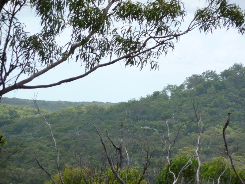 Lot 146 Josefski Road, Agnes Water QLD 4677