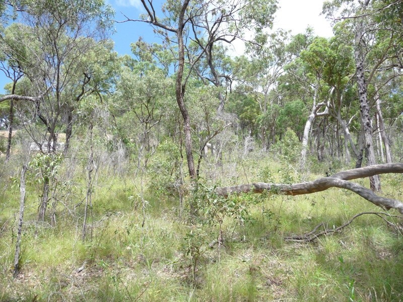 Lot 146 Josefski Road, Agnes Water QLD 4677