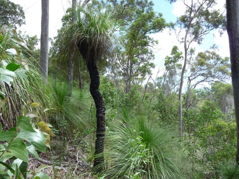 Lot 146 Josefski Road, Agnes Water QLD 4677