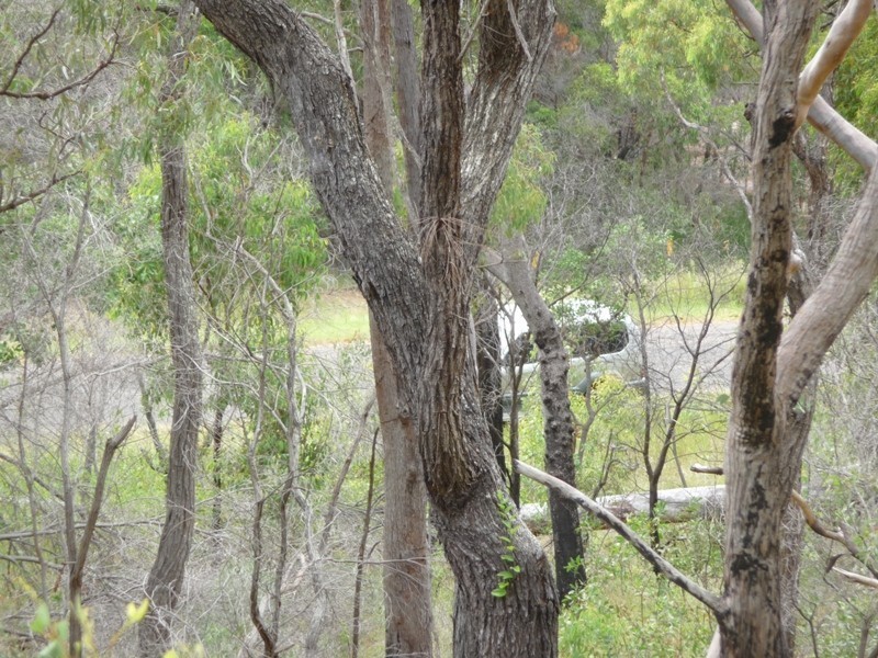 Lot 146 Josefski Road, Agnes Water QLD 4677