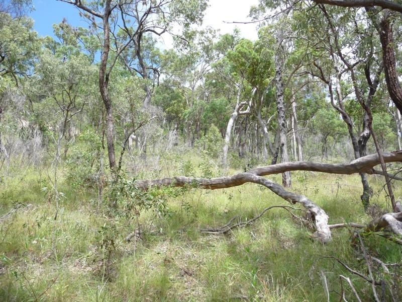 Lot 146 Josefski Road, Agnes Water QLD 4677