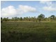 Lot 7 Gorge Road, Taunton QLD 4674