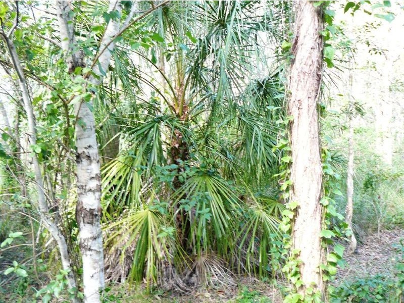 Lot 251 Allingham Way, Agnes Water QLD 4677