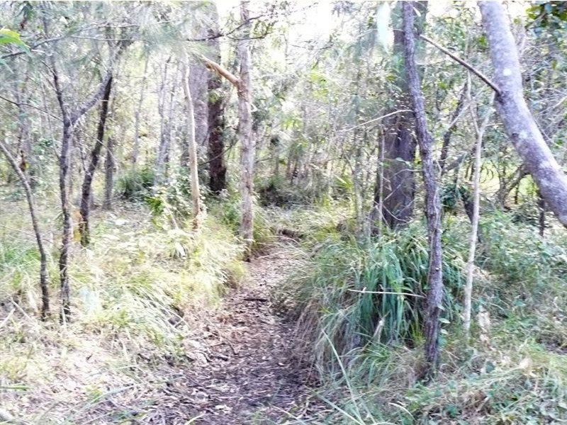 Lot 251 Allingham Way, Agnes Water QLD 4677