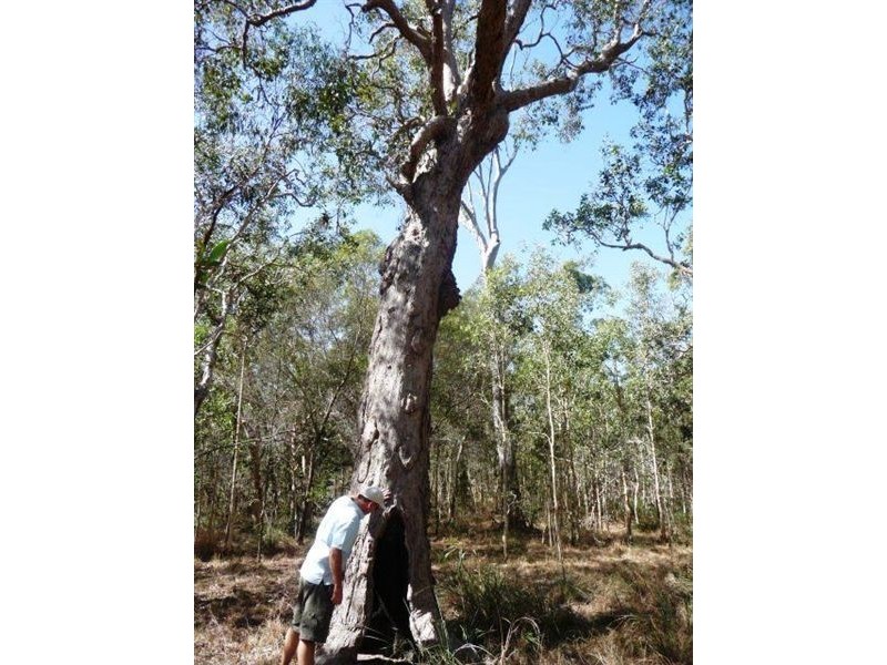 Lot 251 Allingham Way, Agnes Water QLD 4677