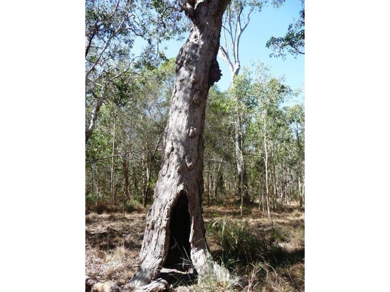 Lot 251 Allingham Way, Agnes Water QLD 4677