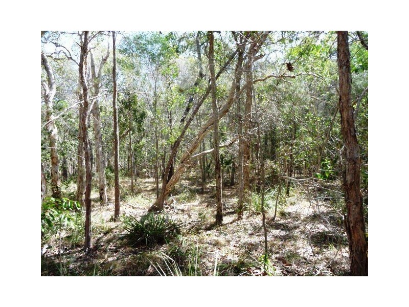 Lot 251 Allingham Way, Agnes Water QLD 4677