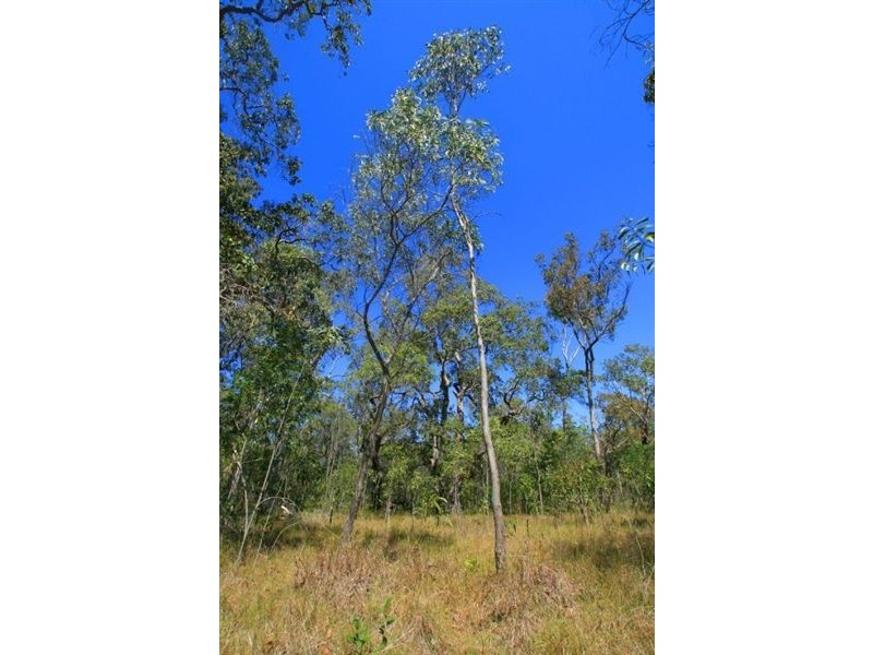 Lot 54 Dillon Road, Captain Creek QLD 4677