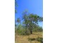 Lot 54 Dillon Road, Captain Creek QLD 4677
