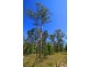 Lot 54 Dillon Road, Captain Creek QLD 4677