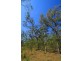 Lot 54 Dillon Road, Captain Creek QLD 4677