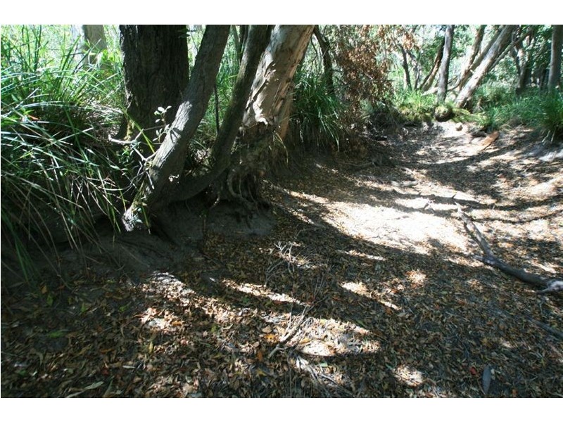 Lot 54 Dillon Road, Captain Creek QLD 4677