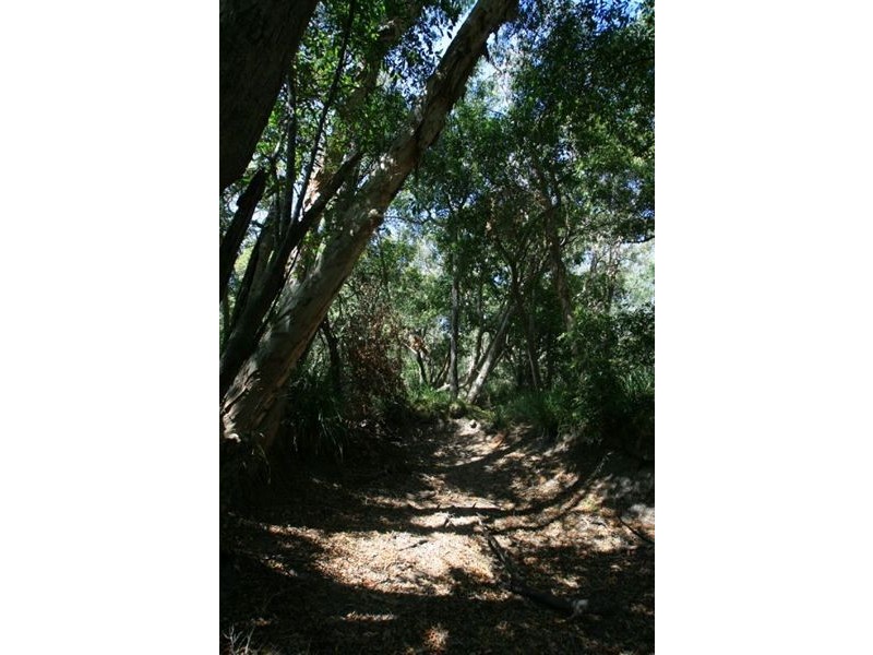 Lot 54 Dillon Road, Captain Creek QLD 4677