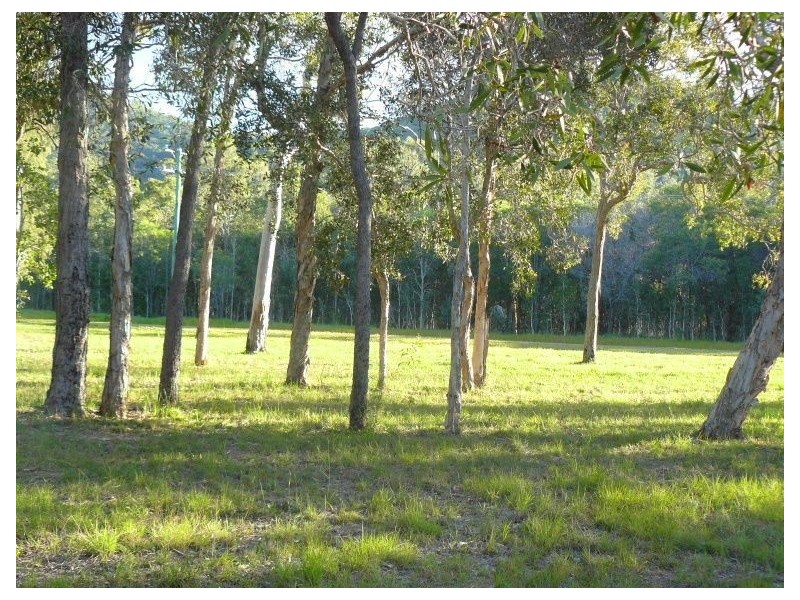 Lot 266 Allingham Way, Agnes Water QLD 4677