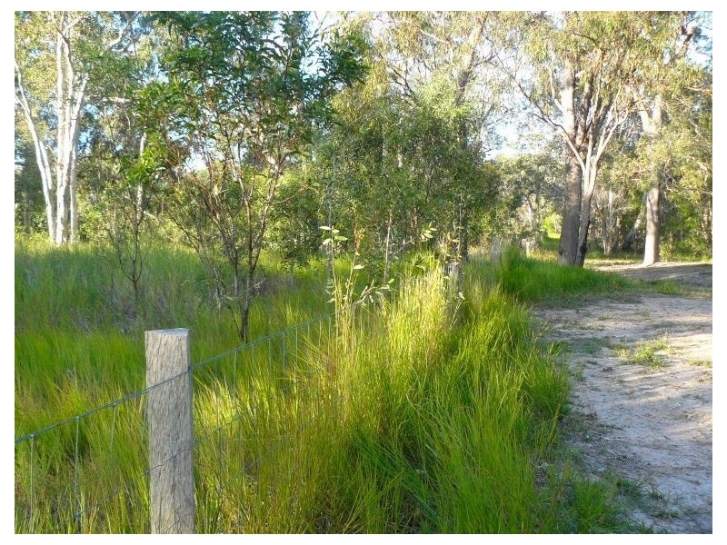 Lot 266 Allingham Way, Agnes Water QLD 4677