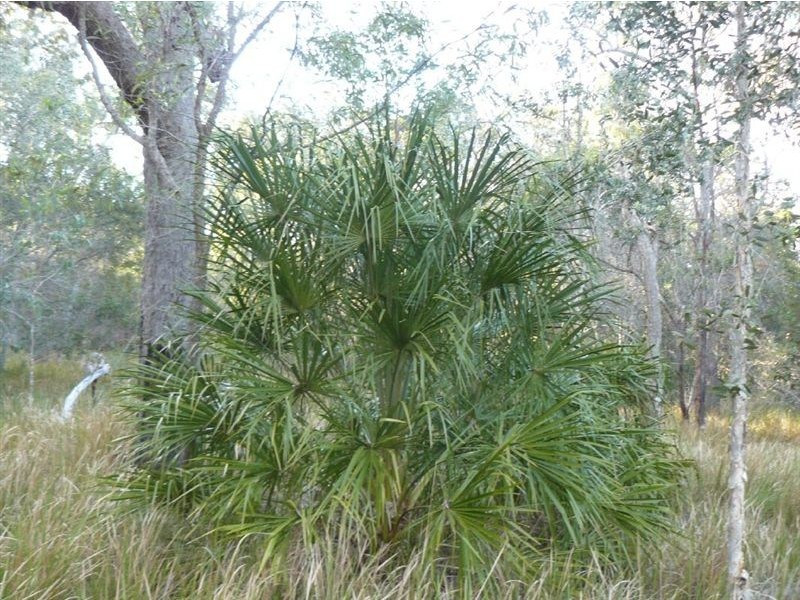 Lot 210 Mary Munro, Agnes Water QLD 4677