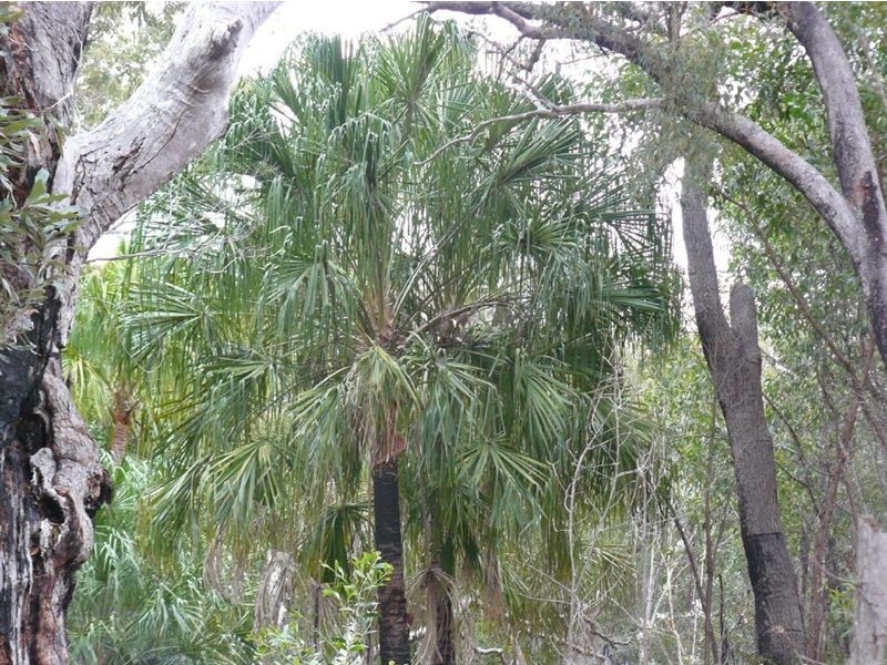 Lot 84 Springs Road, Agnes Water QLD 4677