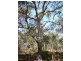 Lot 486 Wilson Drive, Agnes Water QLD 4677