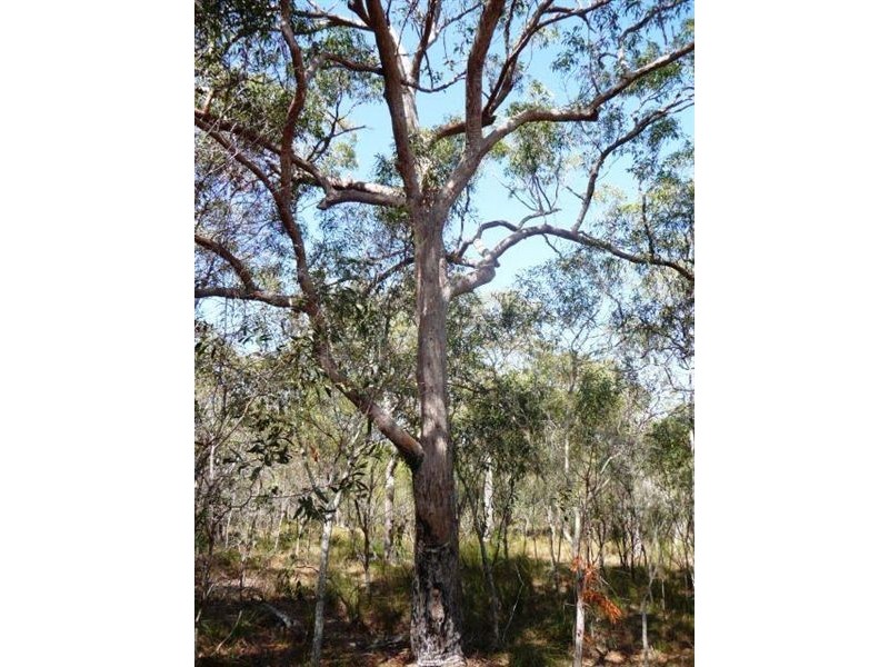 Lot 486 Wilson Drive, Agnes Water QLD 4677