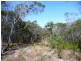 Lot 486 Wilson Drive, Agnes Water QLD 4677