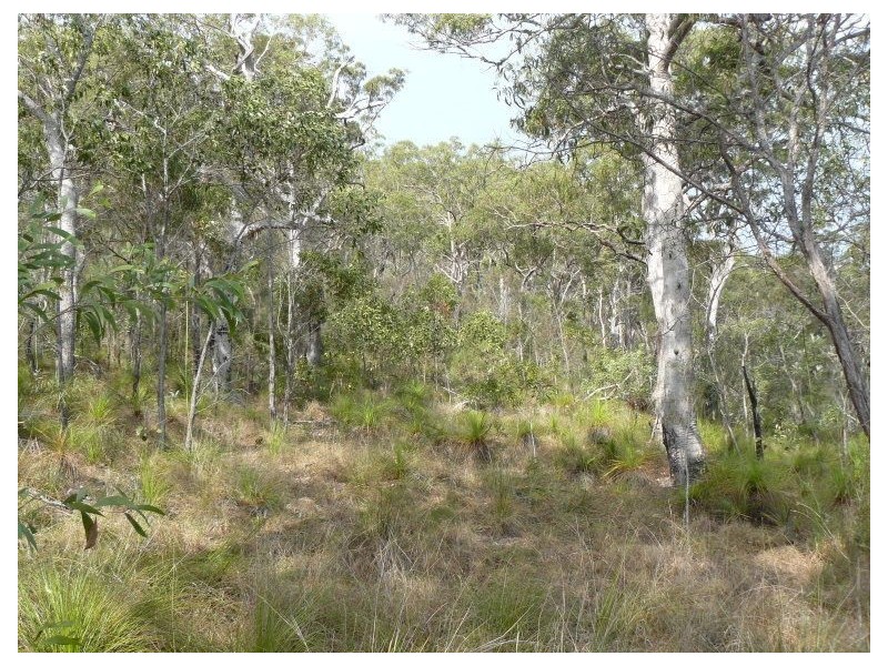 Lot 346 Streeter drive, Agnes Water QLD 4677