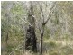 Lot 346 Streeter drive, Agnes Water QLD 4677
