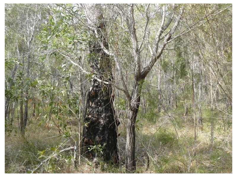 Lot 346 Streeter drive, Agnes Water QLD 4677