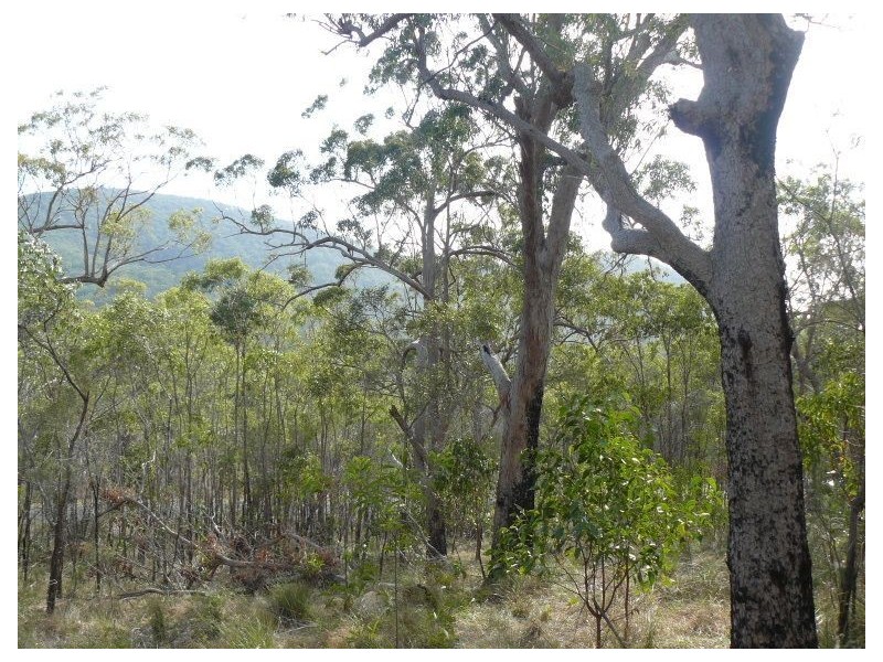 Lot 346 Streeter drive, Agnes Water QLD 4677