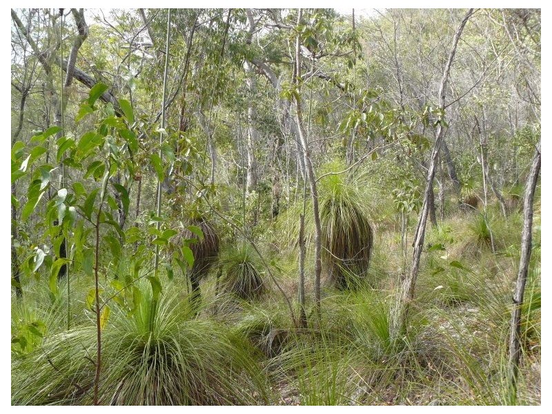 Lot 346 Streeter drive, Agnes Water QLD 4677