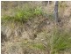 Lot 346 Streeter drive, Agnes Water QLD 4677