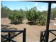 Lot 49 Bicentennial, Agnes Water QLD 4677
