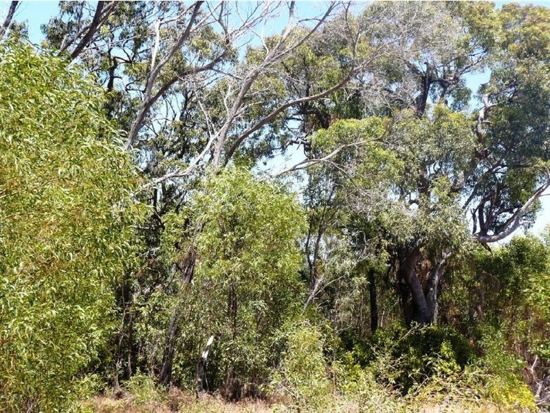 Lot 17 Endeavour Street, Seventeen Seventy QLD 4677