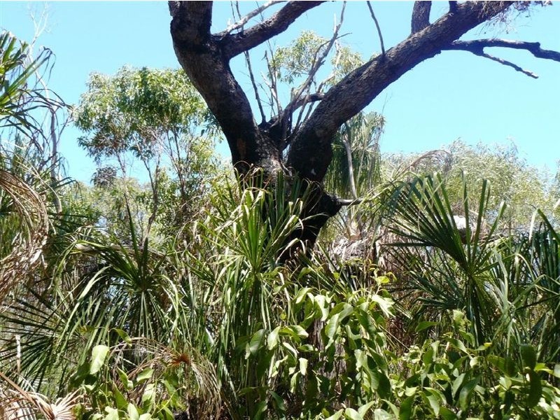 Lot 17 Endeavour Street, Seventeen Seventy QLD 4677