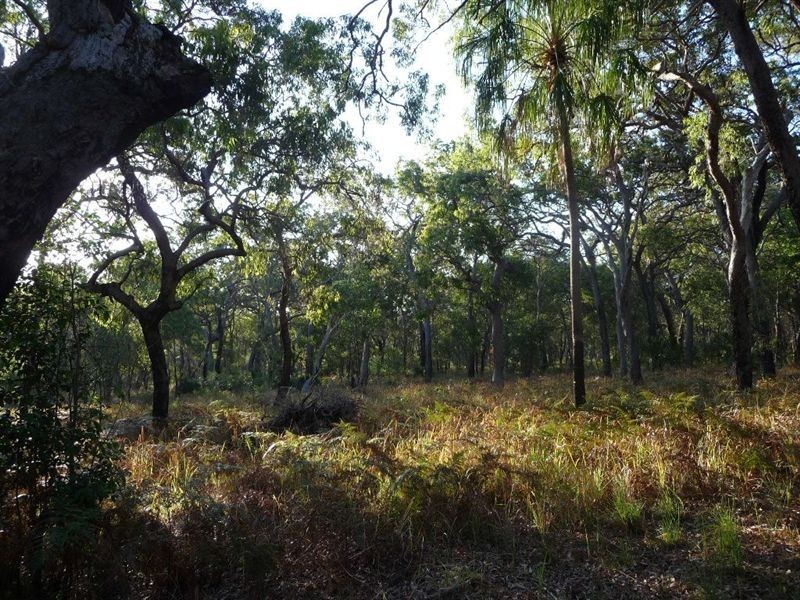 Lot 134 Springs Road, Agnes Water QLD 4677