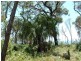Lot 134 Springs Road, Agnes Water QLD 4677