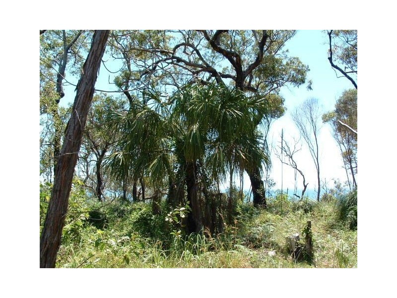Lot 134 Springs Road, Agnes Water QLD 4677
