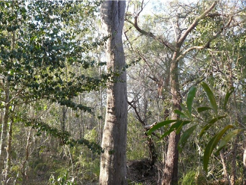 Lot 322 Innamincka Way, Agnes Water QLD 4677