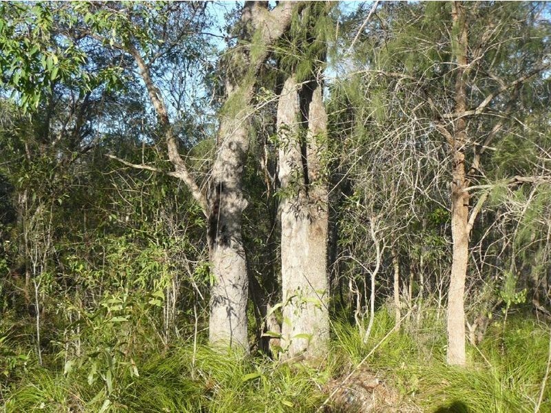 Lot 322 Innamincka Way, Agnes Water QLD 4677