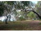 Lot 52 Springs Road, Agnes Water QLD 4677