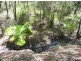 Lot 58 Lady Elliot Drive, Agnes Water QLD 4677