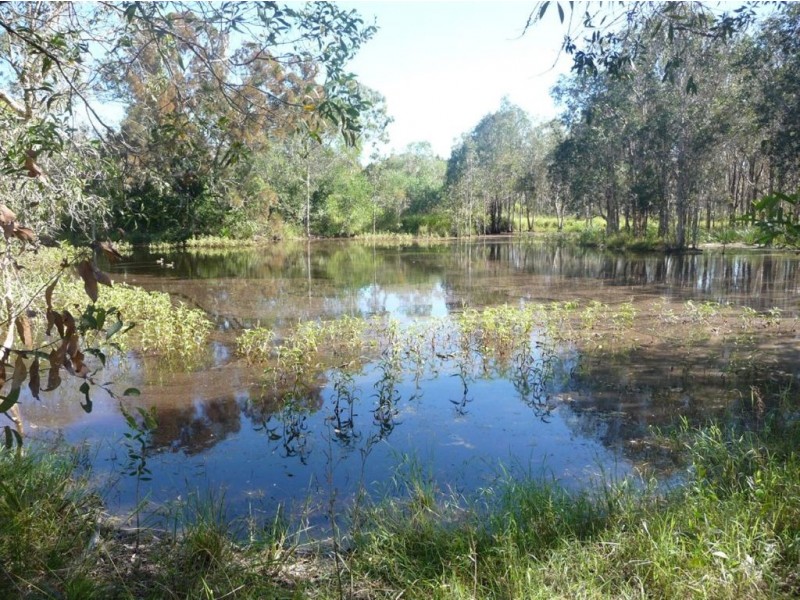 1(Lot 183) Murphy Road, Captain Creek QLD 4677