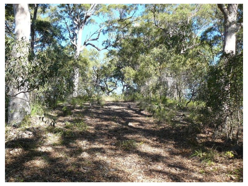 Lot 20 Rafting Ground Rd, Agnes Water QLD 4677