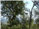 Lot 20 Rafting Ground Rd, Agnes Water QLD 4677