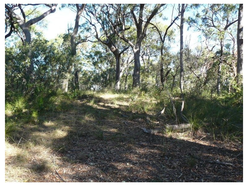 Lot 20 Rafting Ground Rd, Agnes Water QLD 4677