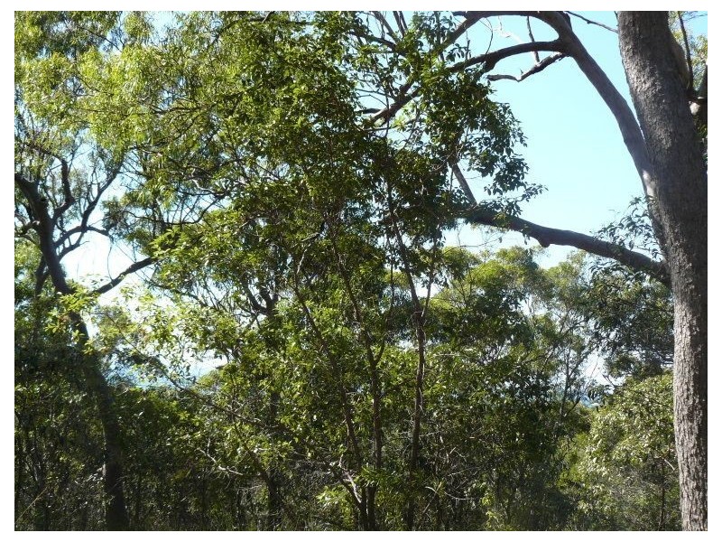Lot 20 Rafting Ground Rd, Agnes Water QLD 4677