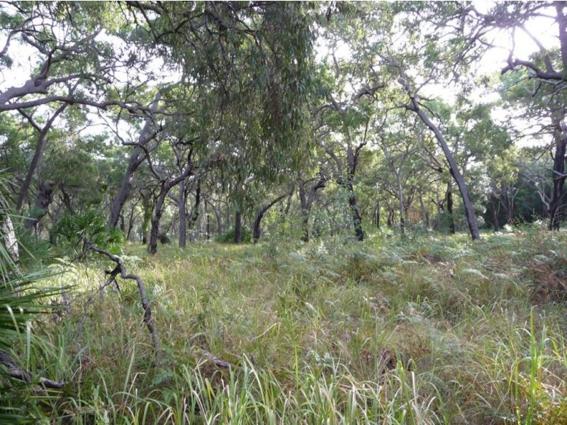 Lot 136 Springs Road, Agnes Water QLD 4677