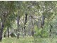 Lot 136 Springs Road, Agnes Water QLD 4677